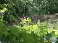 chubby babe gets wild fucked in the forest