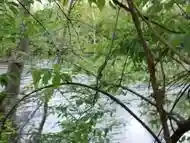 Blowjob by the river