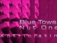 Blue Towel Nut One