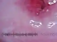 Cervix Pulse Heartbeat Orgasms EKG - Sophie Adulting