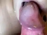 Close-Up Blowjob Ended With Huge Oral Creampie