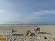 Compilation of Sex and cumshots on the public beach