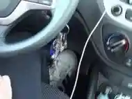 Driving with Sneakers