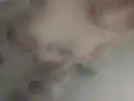 FTM TWINK PLAYS WITH HARD COCK IN THE SHOWER