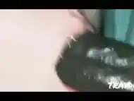 I love a bbw that can suck dick this good PREVIEW