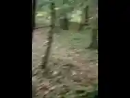 Public : Baise rapide et insultÃ©e par un inconnu dans la forÃªt