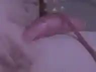 Yummi the Swedish nymph fucks herself in the ass while her bf