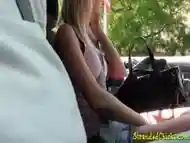 Hitchhiking babe pussyfucked outdoors