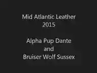 Alpha Pup Dante and Bruiser Wolf Sussex