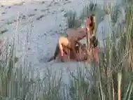 Amateur couple got caught having sex on the beach by voyeur.