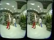 3D - VR - 2 Girls with Long Cast Leg visit a flower store Part 1 (LCL)