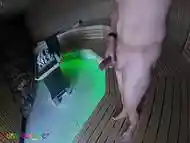 Hot wanking and cumming on my thigh in a public relaxation sauna