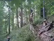 Old Curvy Woman &ndash_ Solo Masturbation and Pissing in the Forest Outdoors Bunny cosplay