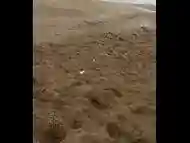 POV: scopiamo in spiaggia a ibiza