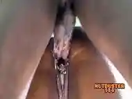 BIG CLIT PUSSY FUCKED UNTIL FARTS ( CUM INSIDE ) EMPTY MY BALLS