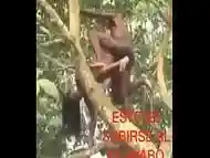 Como cuando te montas en el guayabo jaja