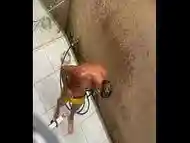 Novin dotado realiza fetiche de amigo em molhar cueca, mas foi filmado sem saber pelo amigo(COMPLETO NO RED)