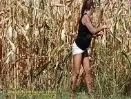 Pee in a corn field