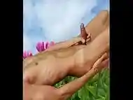 Pink flower jerking