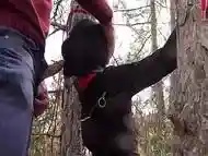 Tied to a tree on a sexy outfit, masked and outdoor deepthroat with no mercy