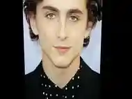 Timoth&eacute_e Chalamet Gay Cum Tribute