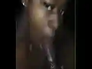 black bitch sucking dick gets huge cumshot