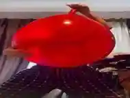 Blowing Up Huge Balloon to Handsfree Orgasm