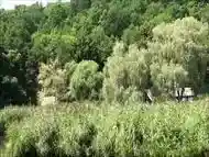 Countryside Area of Sibiu Romania