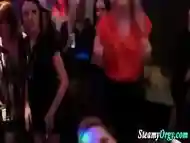 Crazy Amateur Party