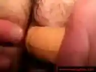 Hairy Bears Ass Sex And Toy Action