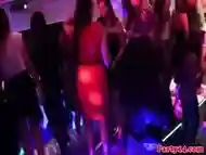 Jizzed On Eurobabe Partying Hard